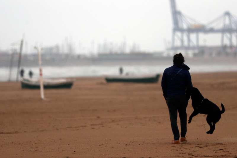 Un hombre pasea junto a su perro en la playa. Archivo/EFE/Kai Frsterling
