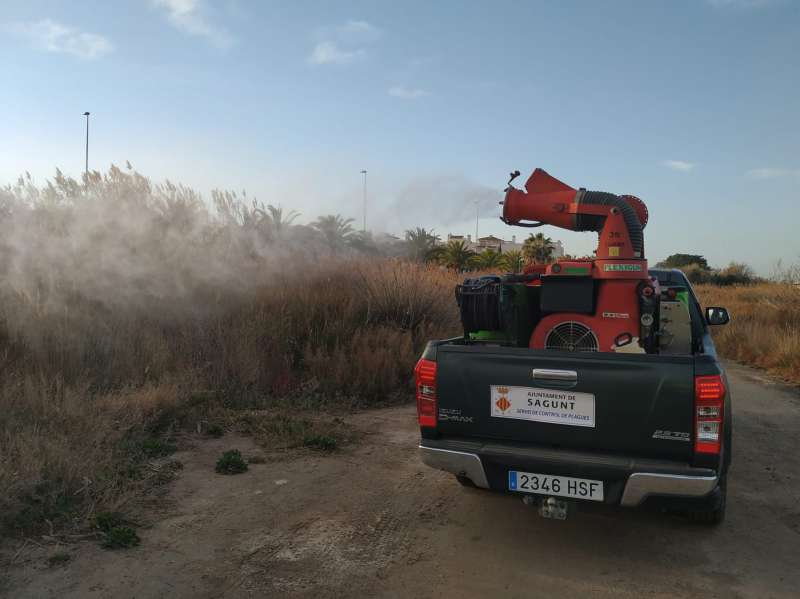 Labores contra la proliferacin de insectos en el trmino municipal de Sagunt.  EPDA