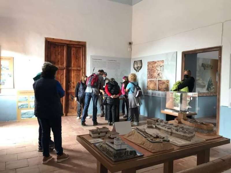 Museu de Prehistòria de la Diputació de València.