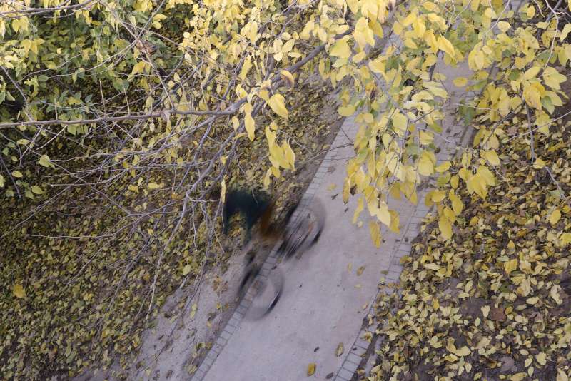 Un ciclista hace ejercicio entre hojas oto�ales. EFE/ Kai Forsterling/Archivo
