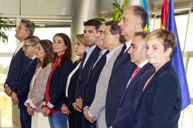 El pleno del Consell, presidido este martes por el president de la Generalitat en funciones, Carlos Mazn. EFEPep Morell