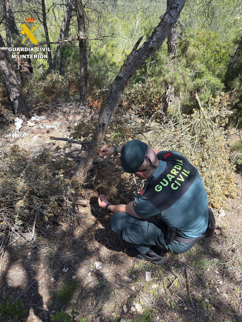 Uno de los agentes comprueba la trampa. GC