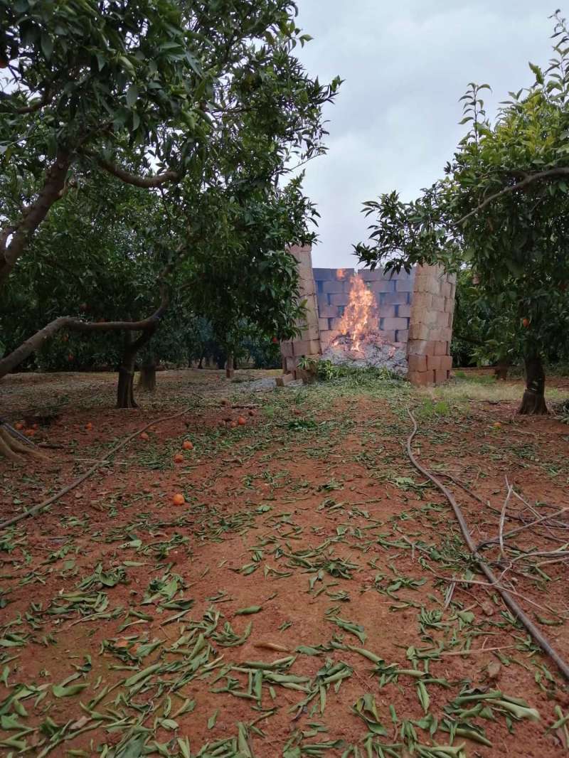 Imagen de una quema agrícola facilitada por La Unió de Llauradors. /EFE