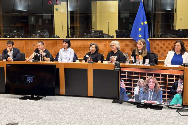 Las vctimas de la dana de Valencia se reunieron el 13 de mayo en el Parlamento de Bruselas . EFE Sara MoratoArchivo
