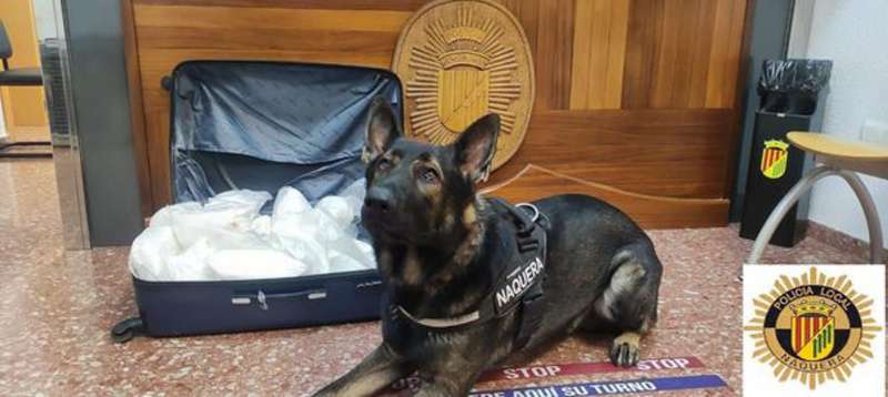 Imagen publicada en redes sociales por la Policía Local de Náquera de la sustancia incautada y del perro de la Unidad Canina que ha dado con ella./EFE