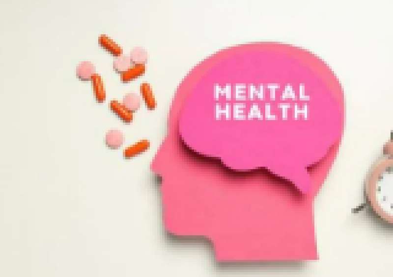 Salud mental.  EPDA