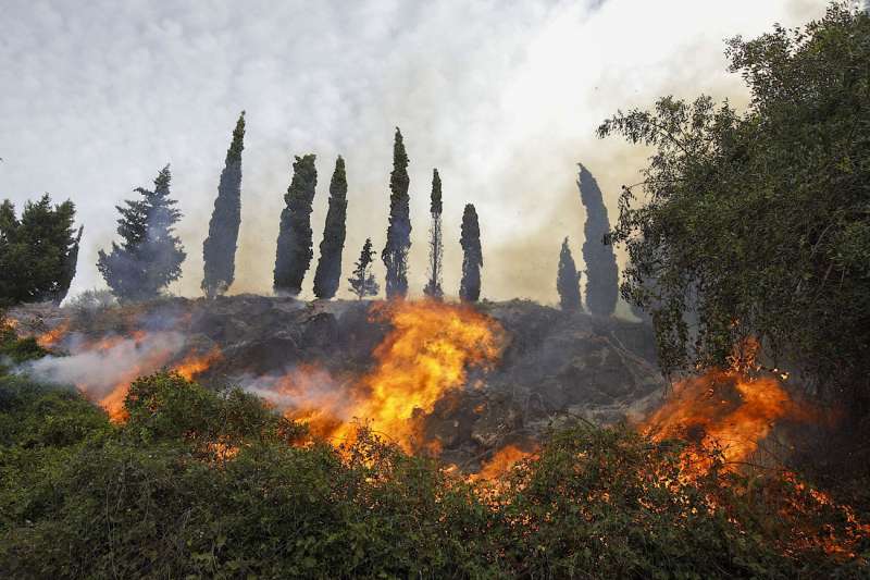 Imagen del incendio forestal de noviembre de 2023 en Montitxelvo (Valencia). EFE/ Natxo Francés
