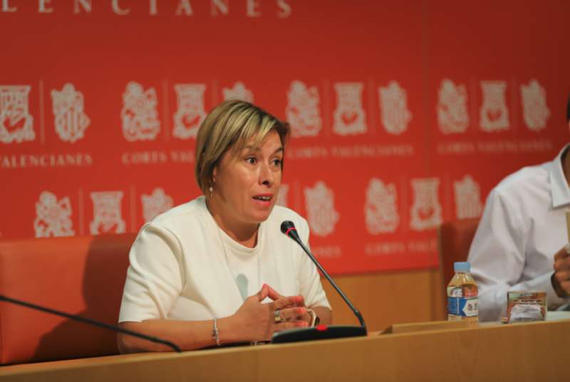 A més, ha avançat que Cs exigirà a la vicepresidenta Aitana Mas, durant la seua compareixença en el parlament valencià, que aclarisca si el seu full de ruta 