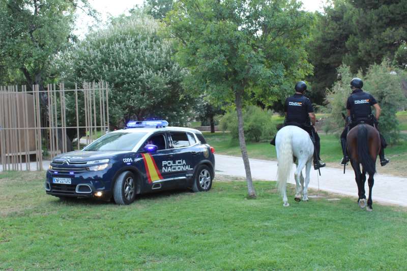 Agentes de la Polica Nacional en Valencia. EPDA