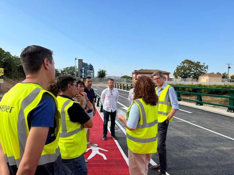 La directora general de Infraestructuras Viarias, Mara Jos Martnez Ruzafa en la visita al puente  Foto: GVA