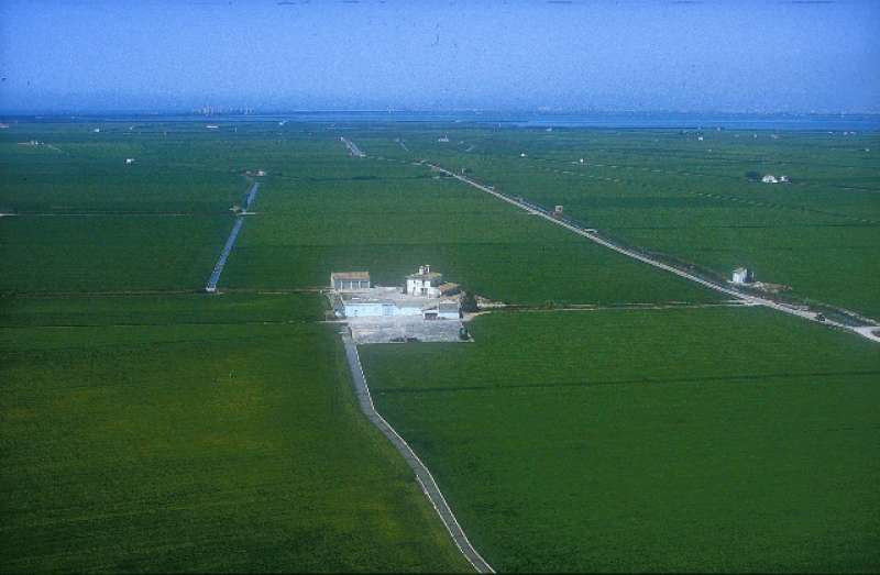 Arrozales de Valencia.EPDA