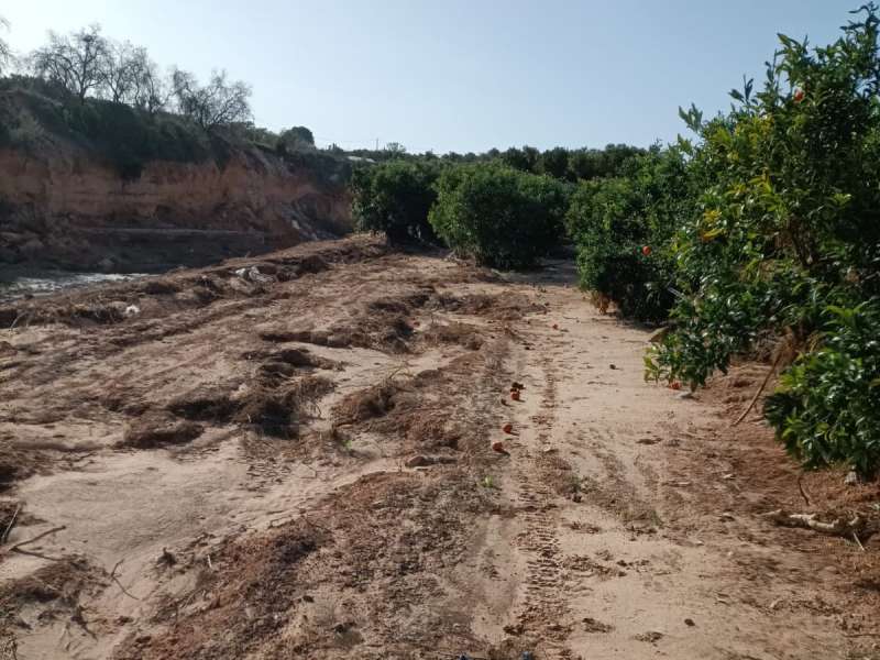 Zonas del campo afectadas por la dana an sin reconstruir | EPDA