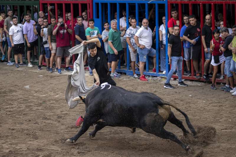 Bous al Carrer en la localidad castellonense de LAlcora.EFE Biel AlioArchivo