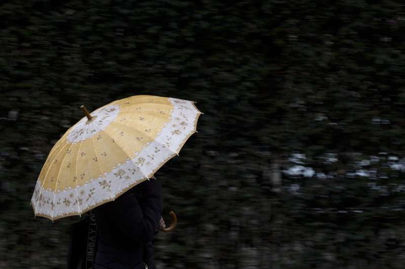 Una persona se protege de la lluvia con un paraguas. EFEKai FrsterlingArchivo
