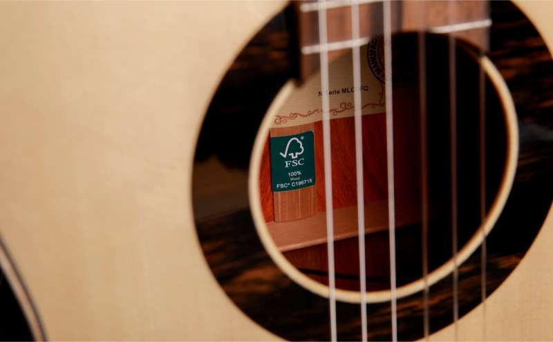 Green Sustain, la primera lnea de guitarras espaolas de cuerdas de nylon con la certificacin FSC 100%.  EPDA 