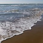 Imagen de la playa Medicàlia. / EPDA