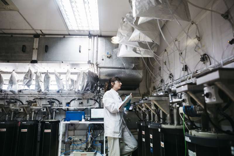 AINIA participa en el proyecto LIFE REPTES, coordinado por el Grupo DAM en un consorcio también integrado por GENIA BIOENERGY y Consorci de la Ribera