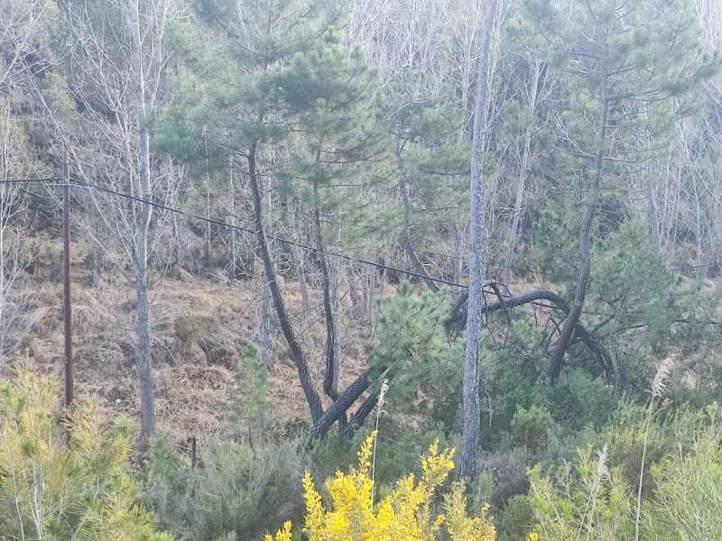 Los vecinos creen que faltan labores de mantenimiento en la infraestructura. /EPDA