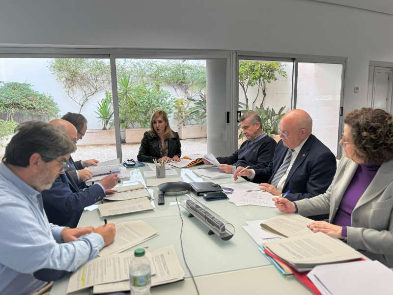 La consellera ha fet este anunci després de presidir el Consell d"Administració de Ferrocarrils de la Generalitat Valenciana (FGV). /EPDA