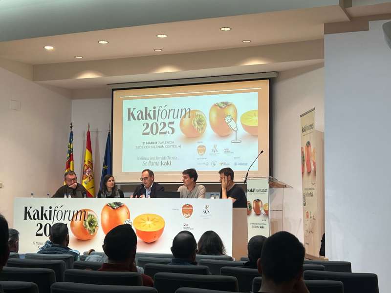 Imagen de la mesa redonda de el Kakifórum con Mariana Albertazzi, José Vicente Bolinches, Miguel Calvo, Dr. César Monzó, Dr. Angel Plata y el moderador Carlos Baixauli. / EPDA