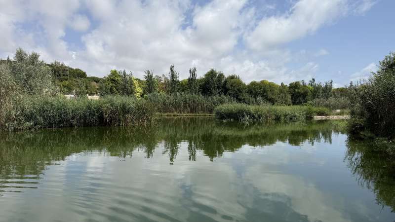 6492_La_Marjal1.jpg