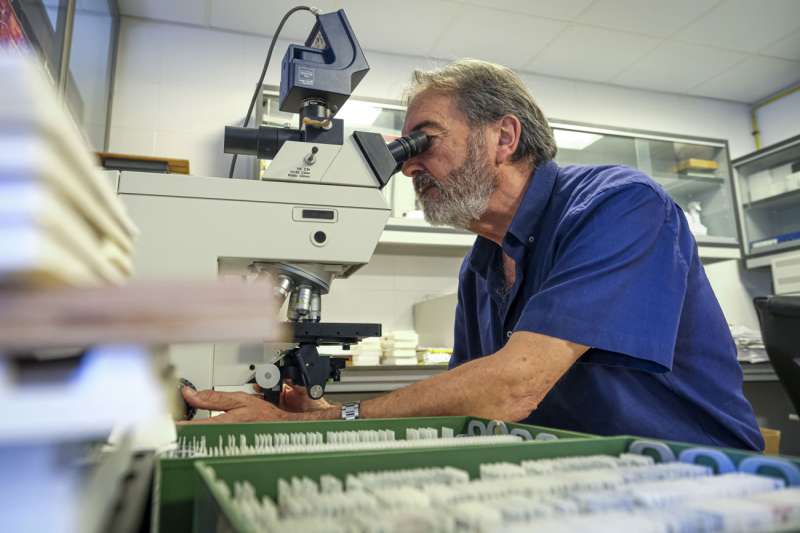 El neurocientífico Salvador Martínez, científico principal del estudio, del Instituto de Neurociencias, centro mixto del CSIC y de la Universidad Miguel Hernández (UMH) de Elche. EFE/Pablo Miranzo