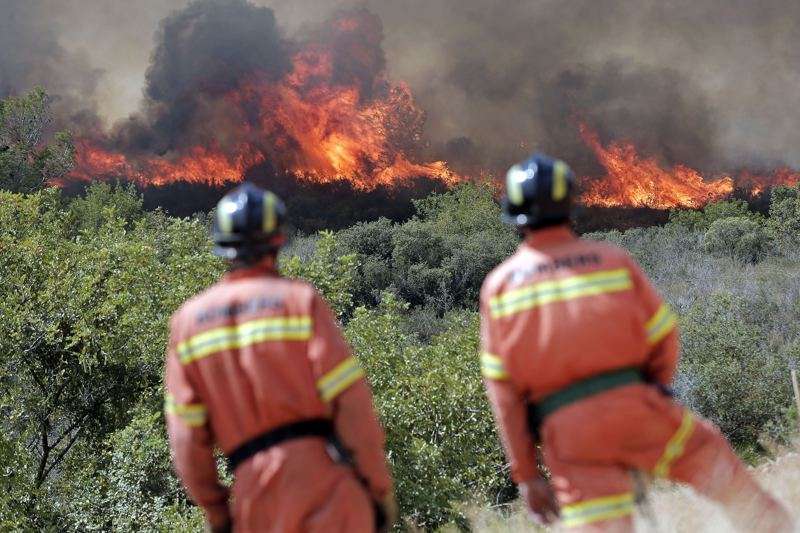 Imagen de archivo de un incendio forestal. /EPDA
Imagen de archivo de un incendio forestal. /EPDA