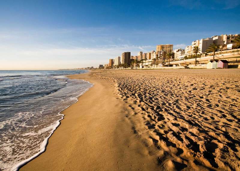 Playa Muchavista de El Campello. / EPDA 