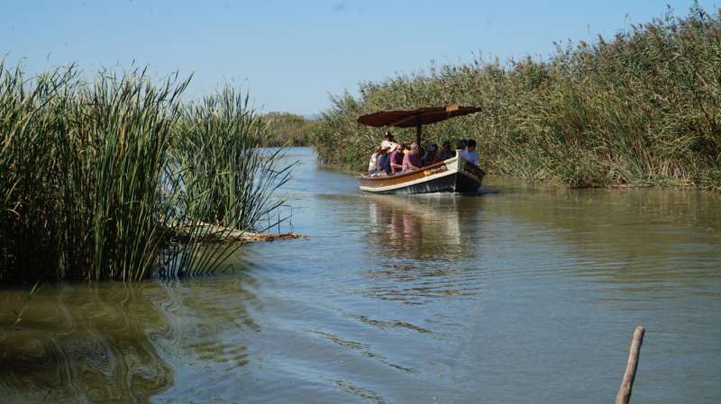 Una barca navega por el Parque Natural de l'Albufera. / EFE