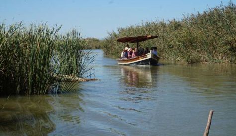 Una barca navega por el Parque Natural de l'Albufera. / EFE