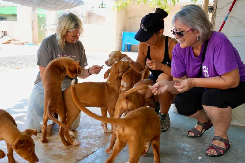 Adopción responsable de animales. / EPDA 