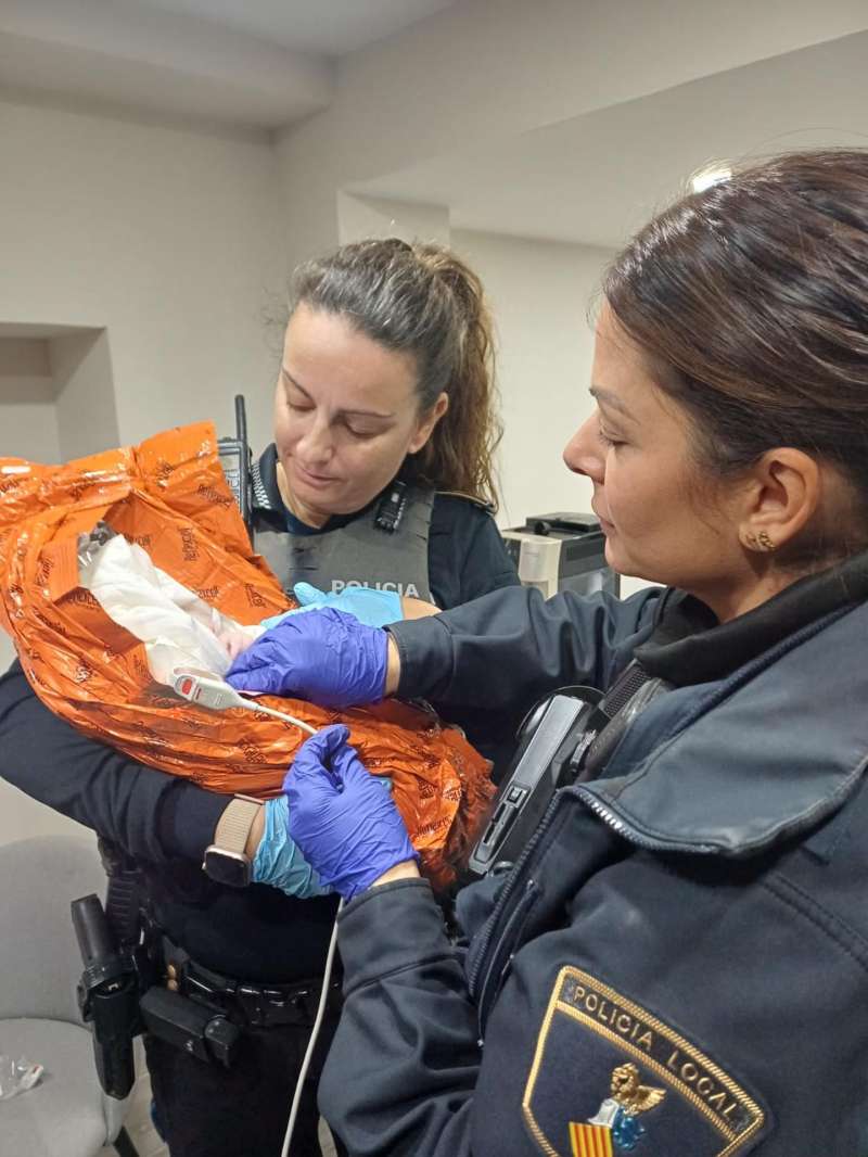 Imagen facilitada por la Policía Local. / EPDA
