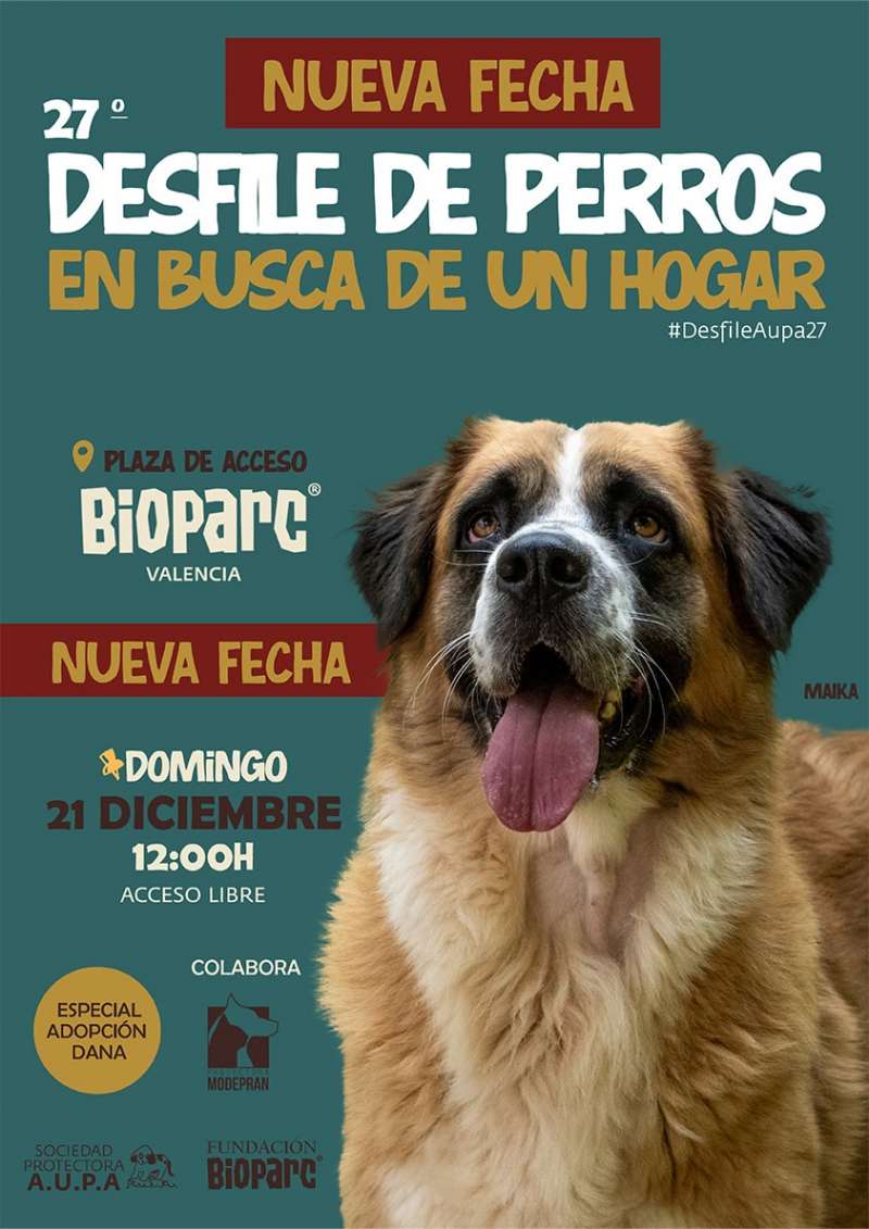 6571_NUEVA_FECHA_Desfile_de_perros_BIOPARC-AUPA_21_DIC.jpg