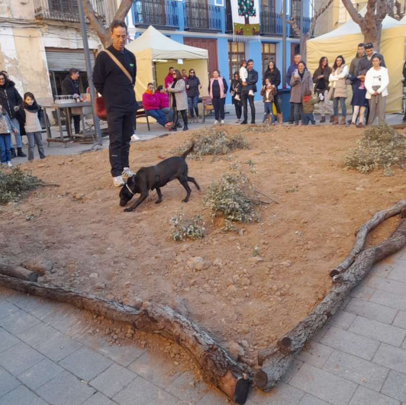 Foto de la Feria de la Trufa en Chelva/ EPDA