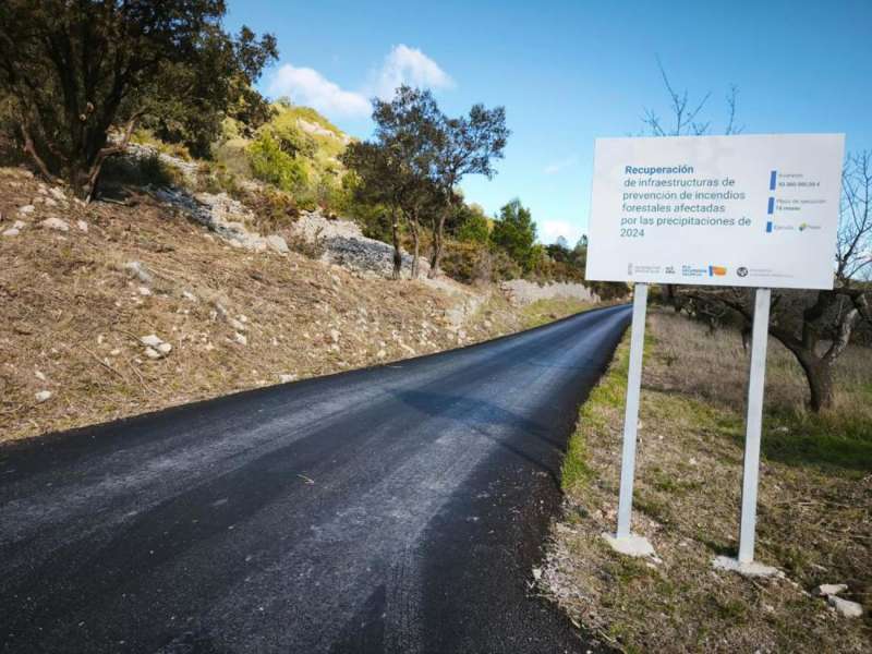 Imagen facilitada por la Generalitat./EFE