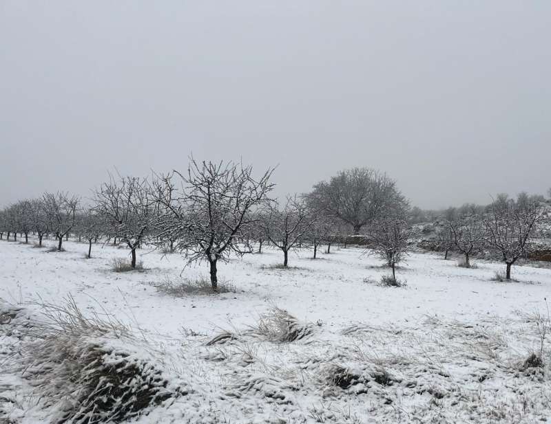 Vista de Alpuente hoy, miércoles 28 de enero de 2026 /EPDA
