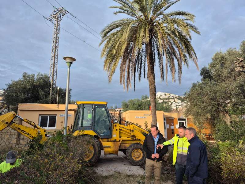 Trabajos de impieza y desbroce en el Camping Bellavista de Peñíscola. / EPDA