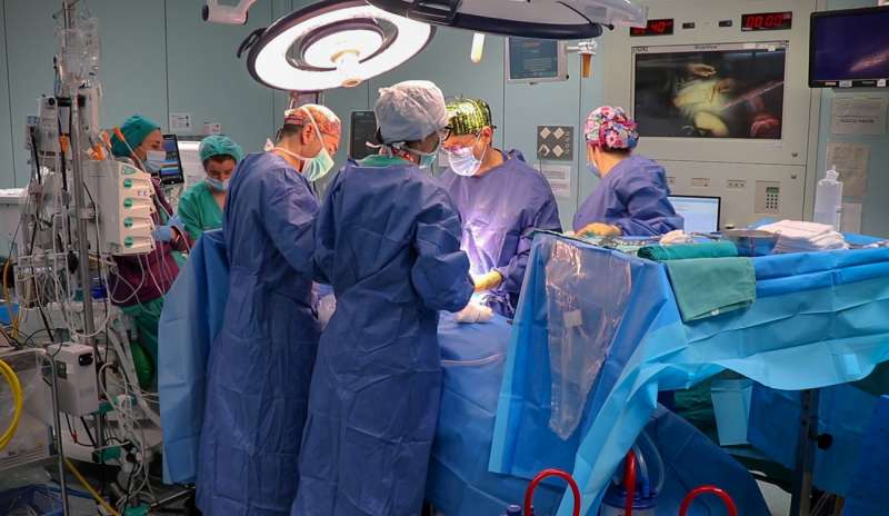 Trasplante renal en quirófanos del hospital La Fe de Valencia, en una imagen compartida por la Generalitat./EFE