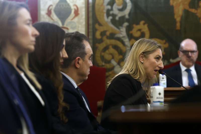 La portavoz del PP en el Ayuntamiento de Alicante, María del Carmen de España, durante el pleno extraordinario celebrado recientemente sobre la adjudicación de las VPP. EFE/Morell
