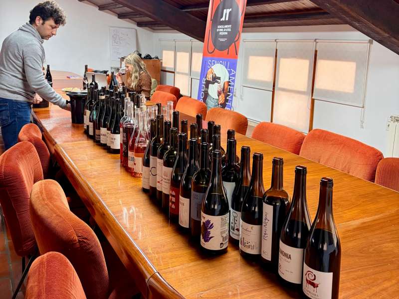 Vinos presentados a la cata en la Consejo Regulador de la Denominación de Origen Utiel-Requena. / EPDA