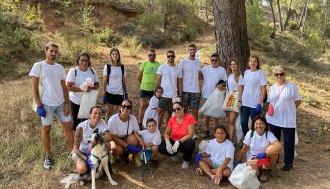 Torrebaja-limpieza-5