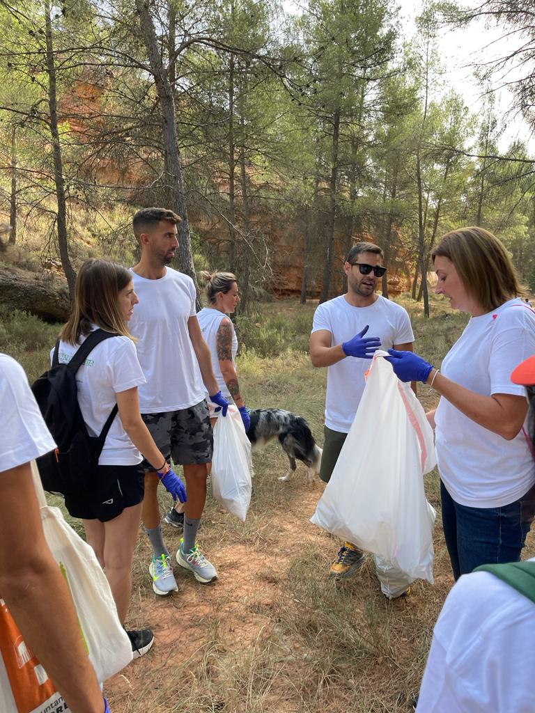 Torrebaja-limpieza-1