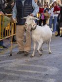godelleta-san-anton-galeria-3