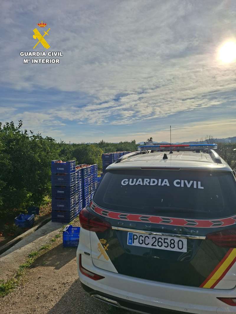 El equipo ROCA de Sueca ha colaborado con la policía local y guardia rural de Carcaixent./EPDA