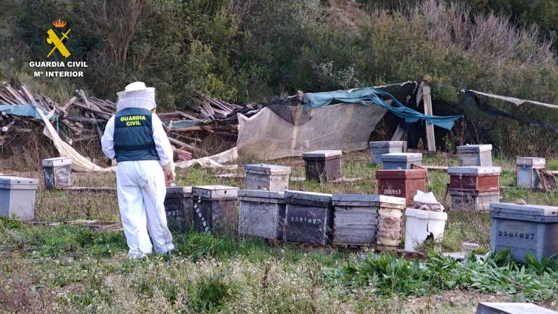 La Guardia Civil ha detenido a un hombre por sustraer 112 colmenas de abejas de varios municipios, la mayor parte de la comarca de la Canal de Navarrés. EFE/Guardia Civil
