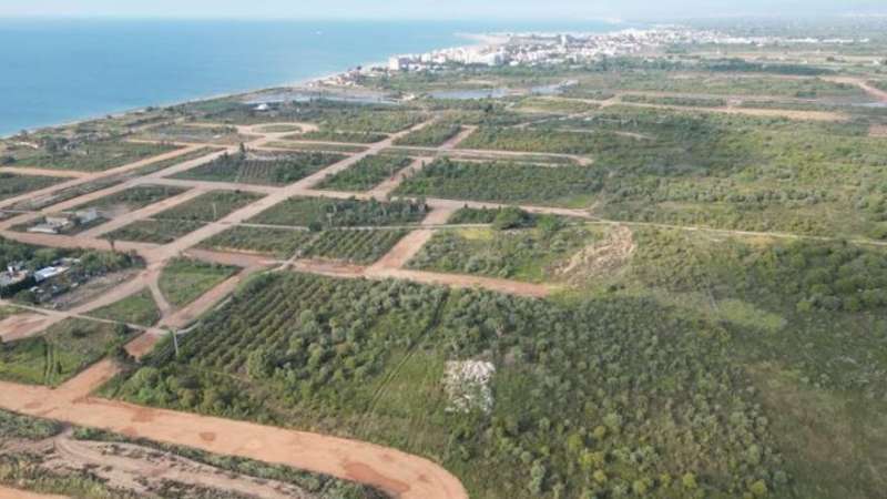 Imagen aérea del PAI Sant Gregori, Burriana. / EPDA