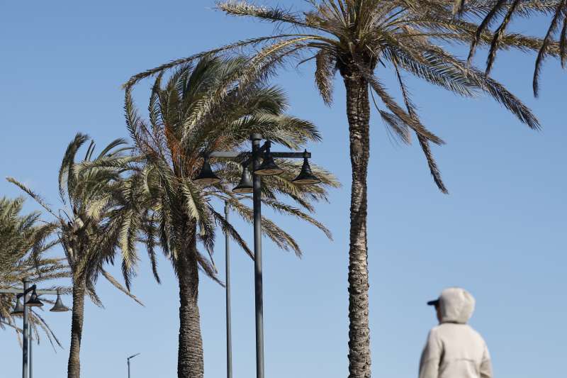 Fuerte viento. EFE/ Ana Escobar/Archivo

