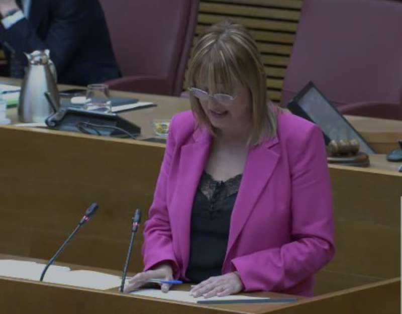 La diputada del PSPV i regidora a l?Ajuntament de Xàtiva, Xelo Angulo./ EPDA