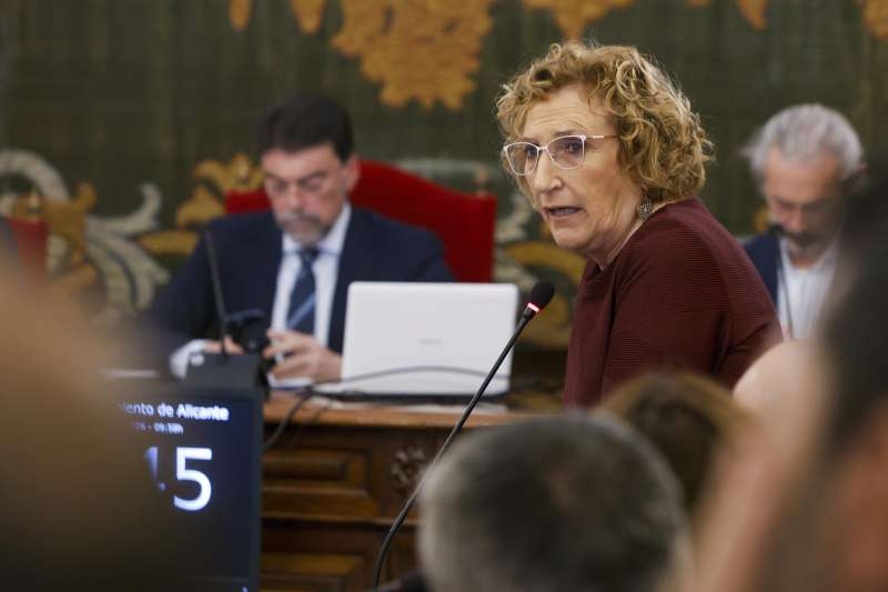 La portavoz del PSPV-PSOE en el Ayuntamiento de Alicante, Ana Barceló. EFE/Morell
