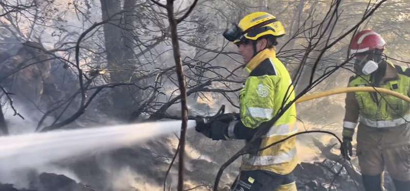 Varios efectivos de bomberos trabajan en la extinción del incendio forestal declarado en el término municipal de Alcalà de Xivert-Alcossebre. /CPBC